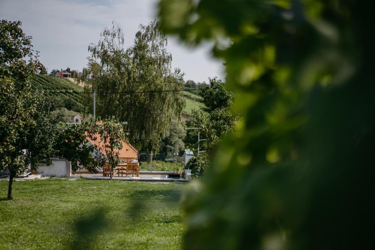 Wein Cottage Kellerstoeckl Eisenberg an der Pinka Εξωτερικό φωτογραφία