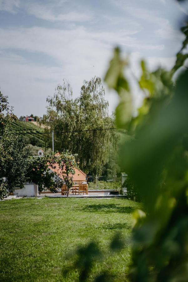 Wein Cottage Kellerstoeckl Eisenberg an der Pinka Εξωτερικό φωτογραφία